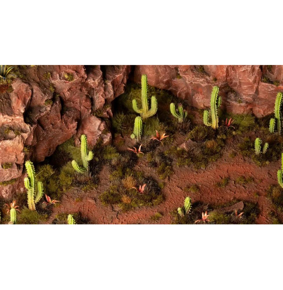 Basing Bits - Saguaro Cacti