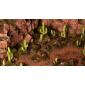 Basing Bits - Saguaro Cacti