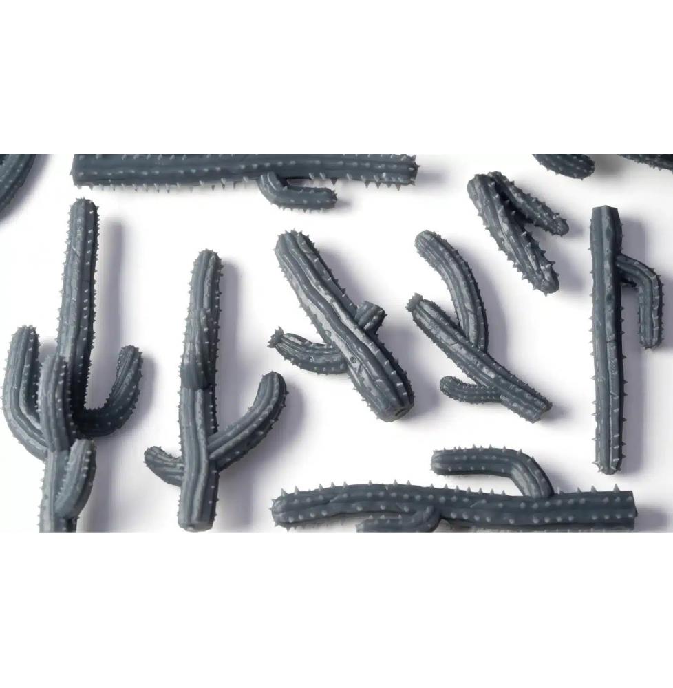 Basing Bits - Saguaro Cacti
