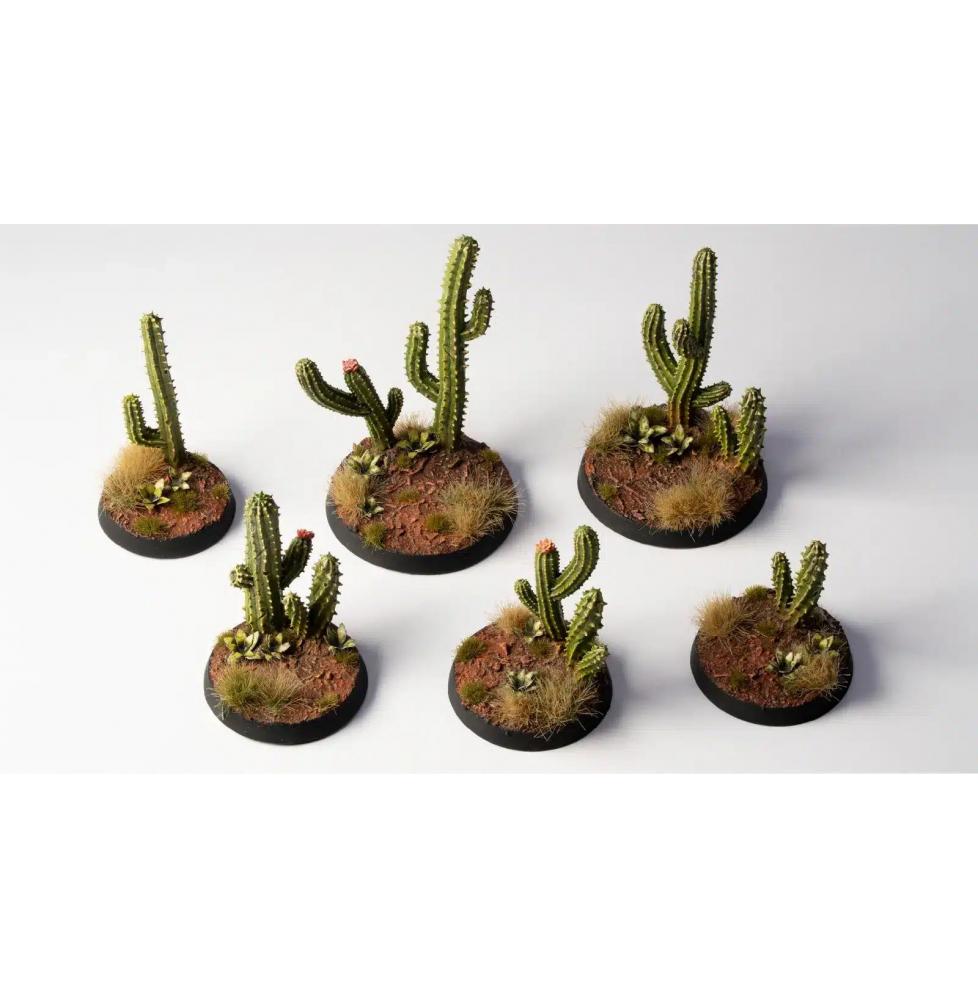 Basing Bits - Saguaro Cacti