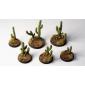 Basing Bits - Saguaro Cacti