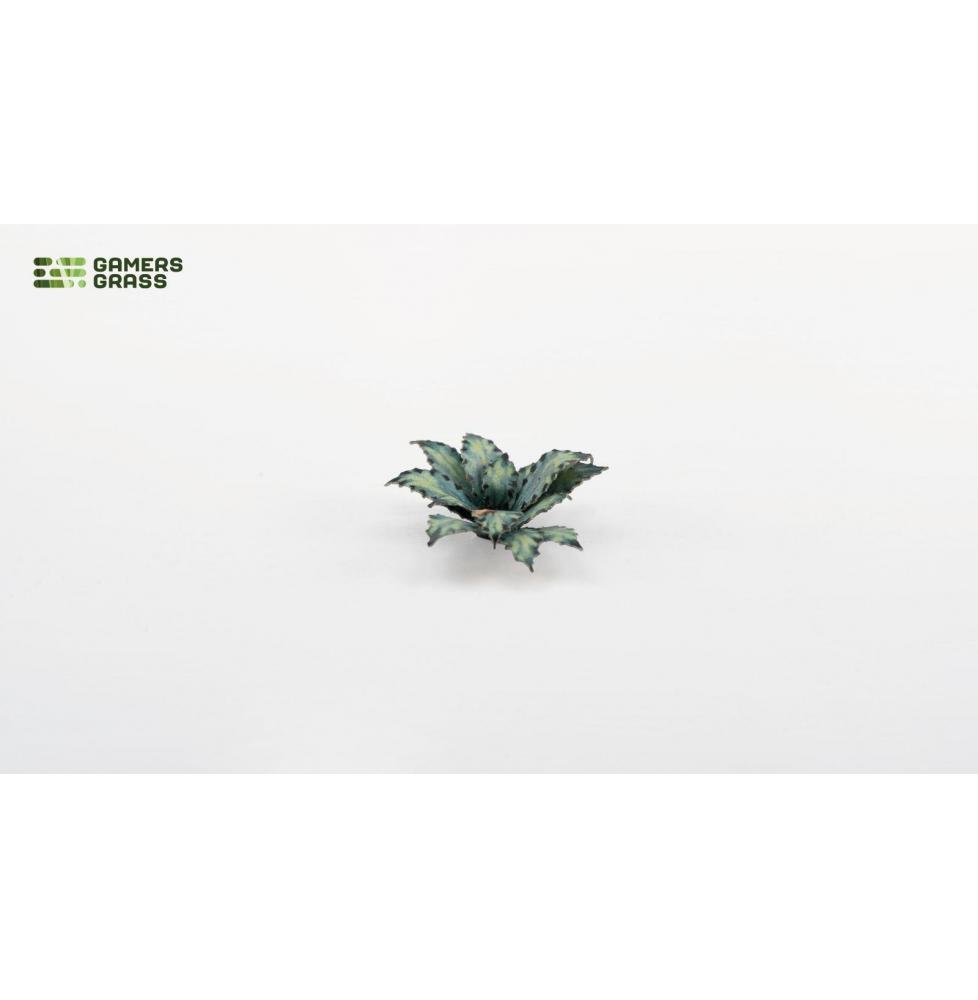 Blue Agave