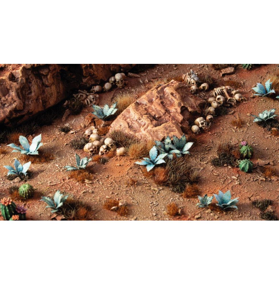Blue Agave