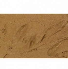 26219 Brown Earth - Terre Brune