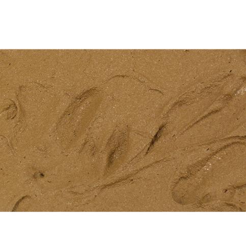 26219 Brown Earth - Terre Brune