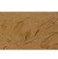 26219 Brown Earth - Terre Brune