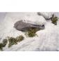 26820 Snow - Neige