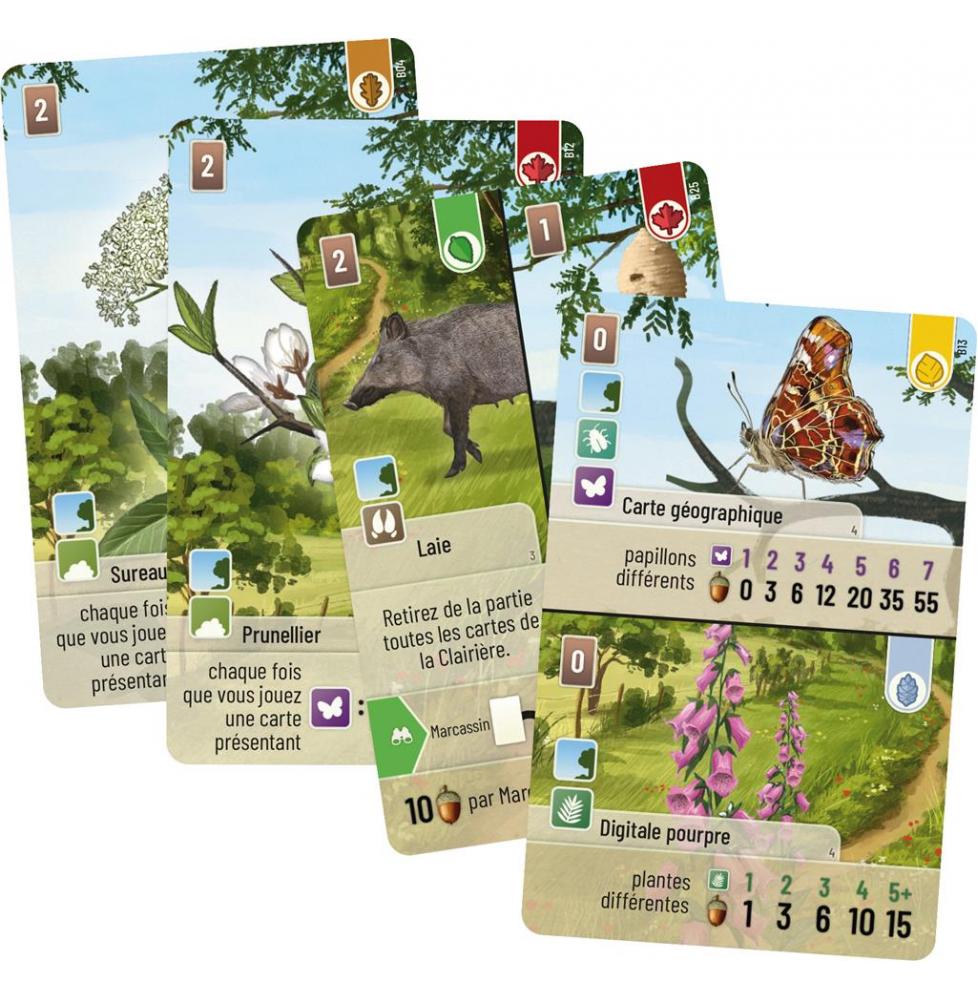 Forêt Mixte : Lisière de forêt (Ext)