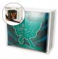 PHOENIX SHIELD - Boite-vitrine acrylique pour ETB Pokemon